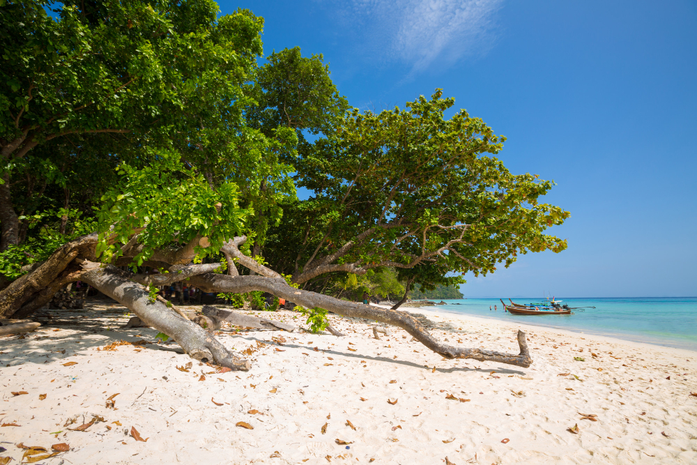 Andaman Honeymoon Packages