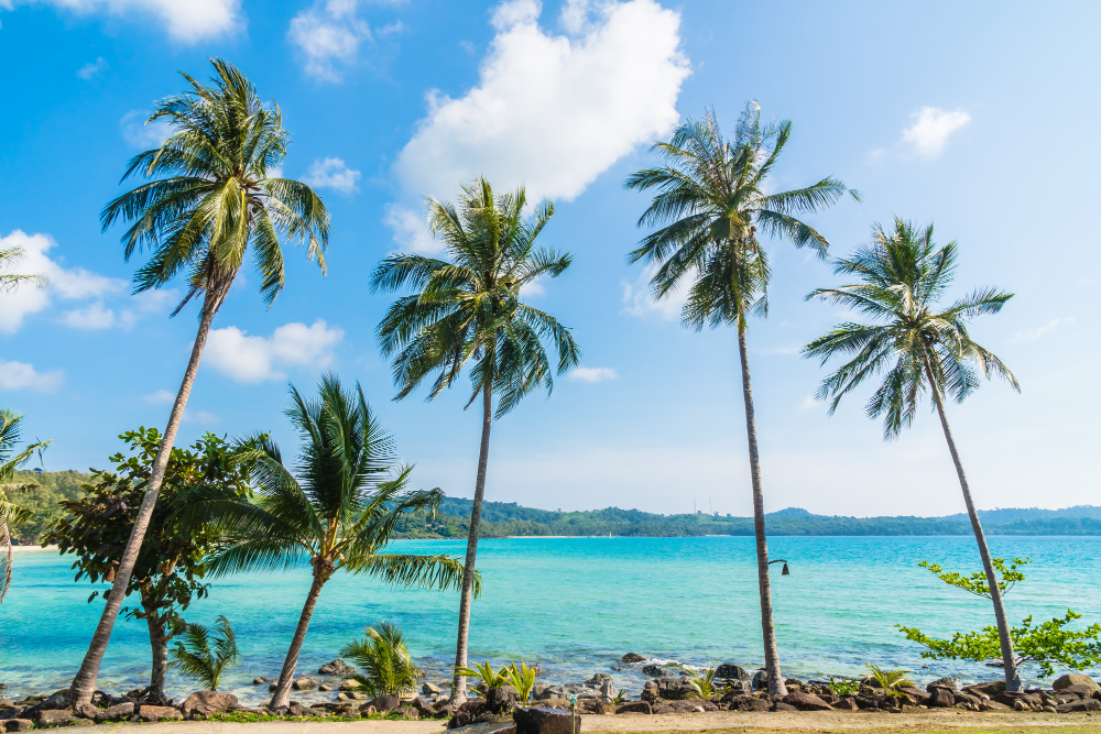 Goa Holiday  Package