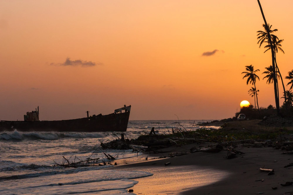 Kochi Munnar Thekkady Kovalam Alleppey Tour Package