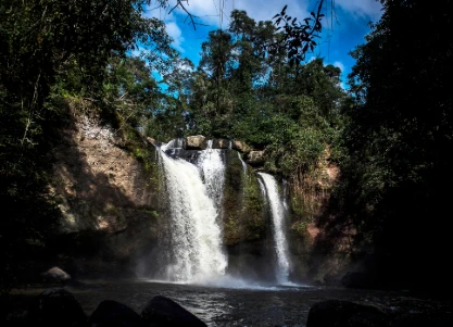Kochi Athirappilly Tour Package