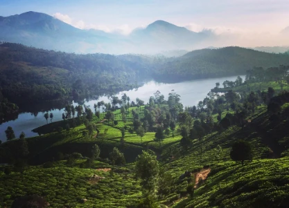 Wayanad Coorg Tour Package