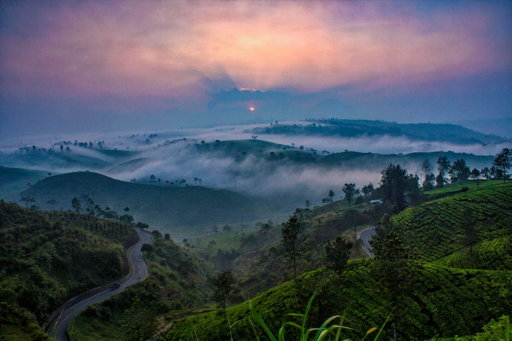 Wayanad Coorg Tour Package