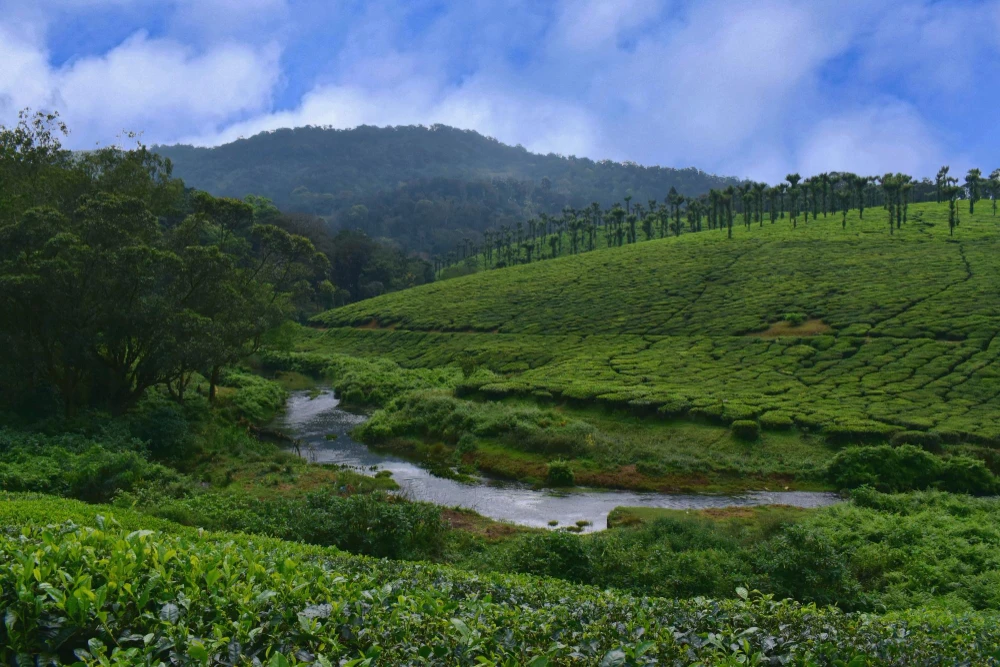 Kerala backwater honeymoon packages