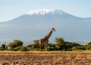 Kenya Safari Package – 5 Days Masai Mara & Lake Naivasha Tour