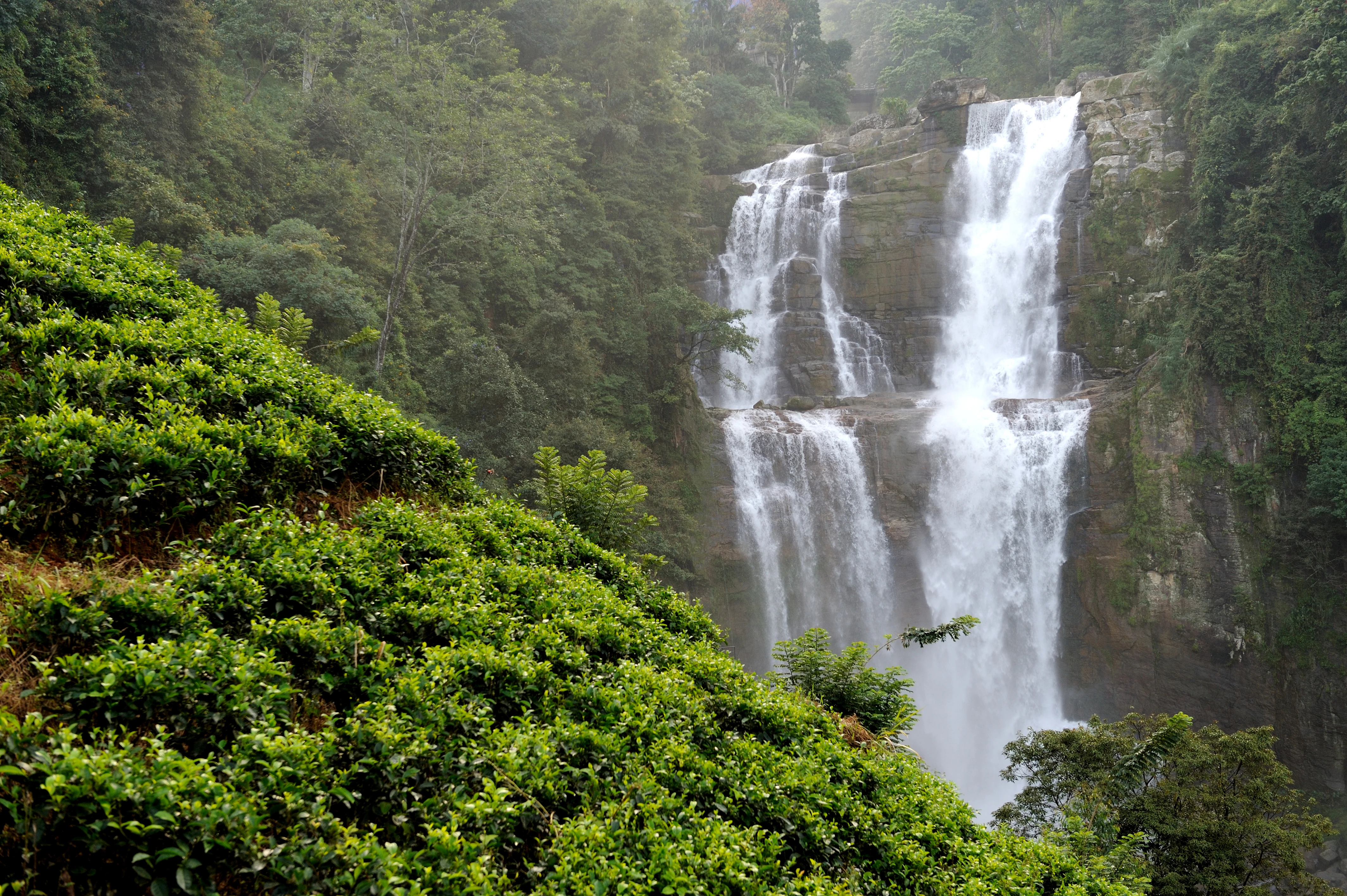Meghalaya Tour Package