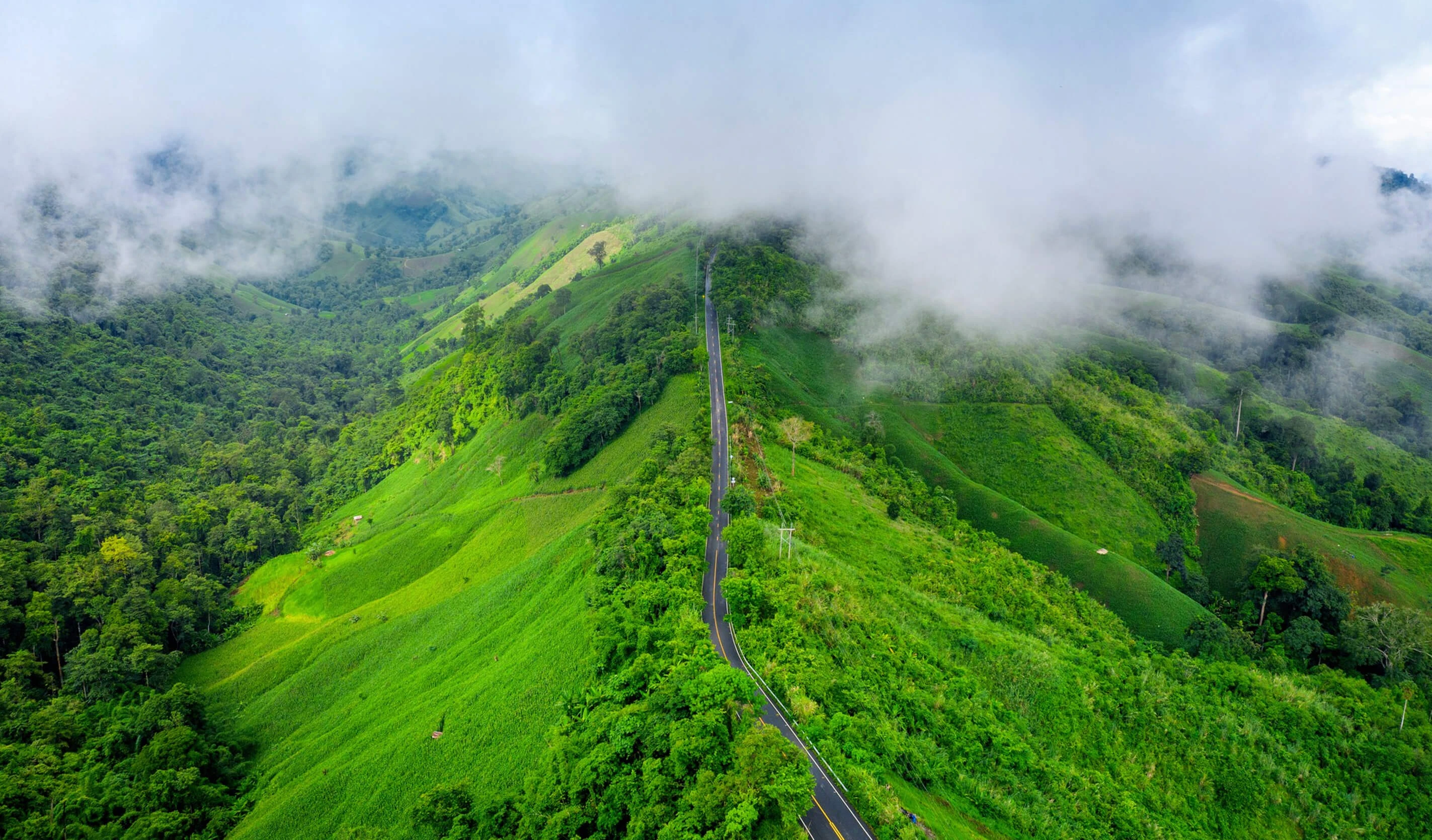 Wayanad Coorg Promo Tour Package