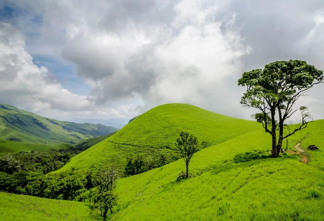 Wayanad Coorg Promo Tour Package