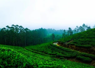 Coorg Tour Package