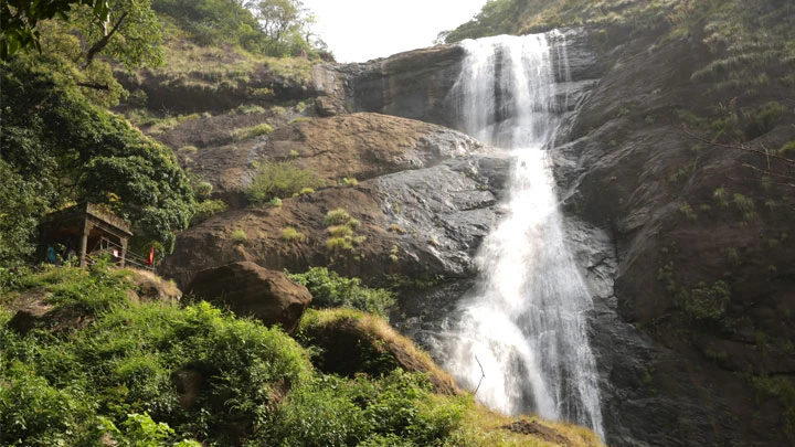 Thenmala One Day Adventure